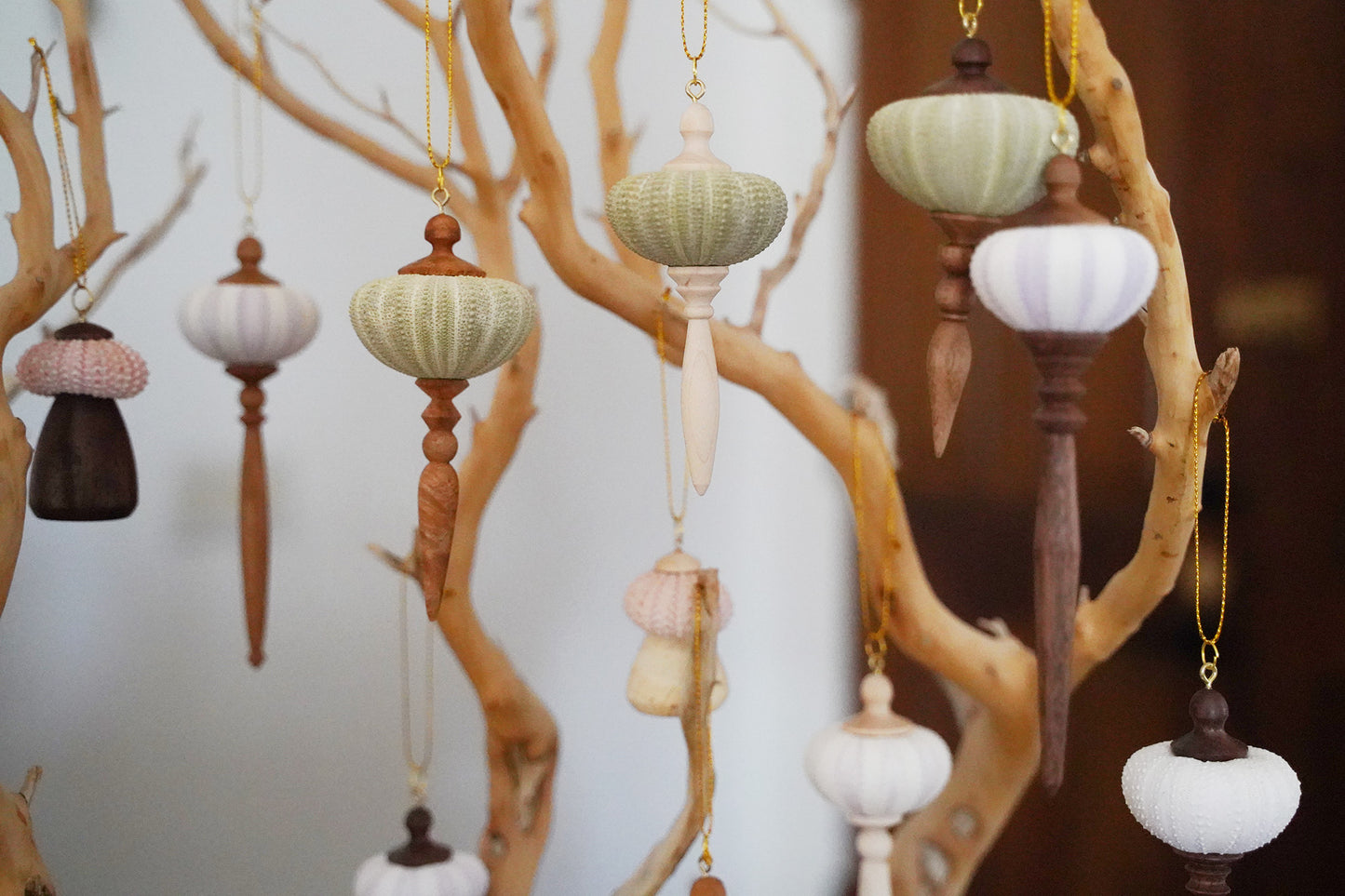 Tree Ornament  with Purple Sea Urchin Shell